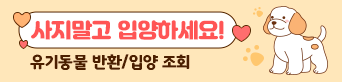 사지말고 입양하세요!
유기동물 반환/입양 조회
