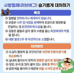 
구분
내  용
특징
- 질병을 전파하거나 매개하지 않습니다.
- 유충은 나무 및 낙엽을 분해하여 토양으로 영양분을 전달하는 등 환경정화에 도움을 줍니다.
- 성충은 꿀벌과 같이 꽃의 수분을 돕는 화분매개자 역할을 합니다.
- 대량 발생 2주 후 자연적으로 소멸합니다.
대처
방안
- 도심의 불빛에 잘 유인되므로 야간에 조명의 밝기를 최소화하기
- 실내에 들어오지 못하게 방충망 설치 및 점검하기
- 창문, 유리 등 많이 붙어 있는 곳에 물 뿌리기
- 밝은색을 좋아하기 때문에 외출 시 어두운색 옷 착용

