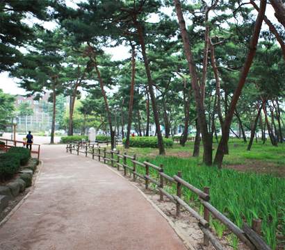 솔받공원 이미지2